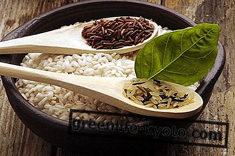 Rijst: eigenschappen, voedingswaarden, calorieën