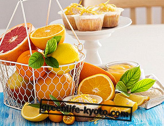 Редки цитрусови плодове: не само портокали