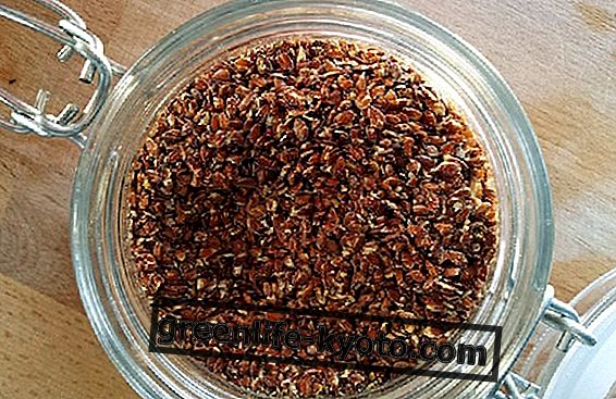 Lanena semena za leno črevo: tukaj je, kako jih uporabljati