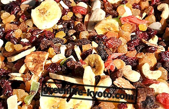 Dried fruit, how to do it and what are the benefits