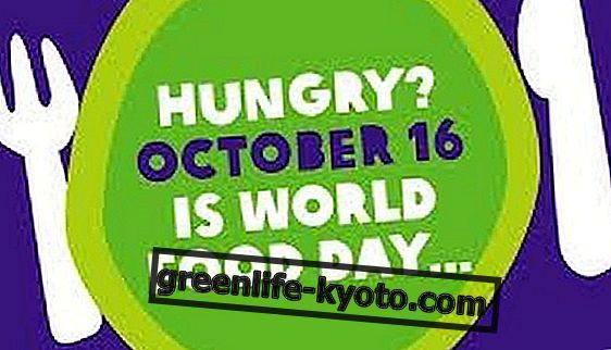 16. Oktober 2013: Welternährungstag