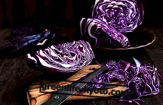 3 receptai su violetiniais kopūstais