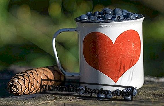 10 geriausių maisto produktų širdies ir kraujagyslių sistemai