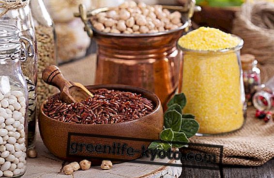 5 receptov za obremenitev rastlinskih beljakovin