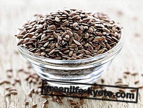 Ľanové semená: vlastnosti, výhody, použitie