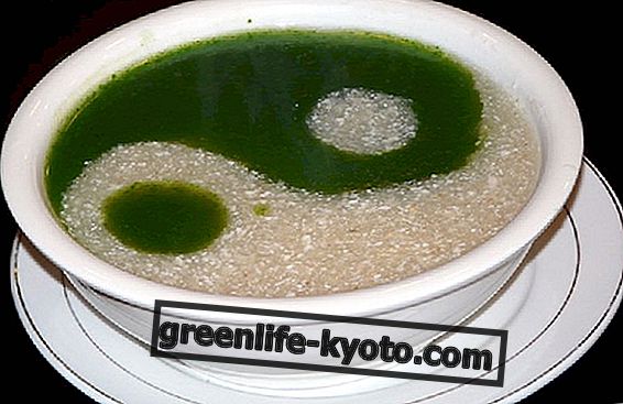 Macrobiotic diet: a little Yin and a little Yang