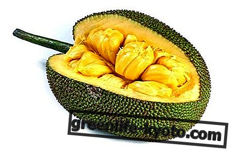 Jackfruit: vlastnosti, výhody, ako jesť