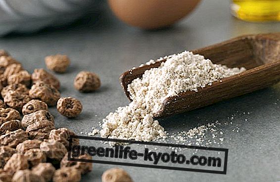 Recipes with chufa flour
