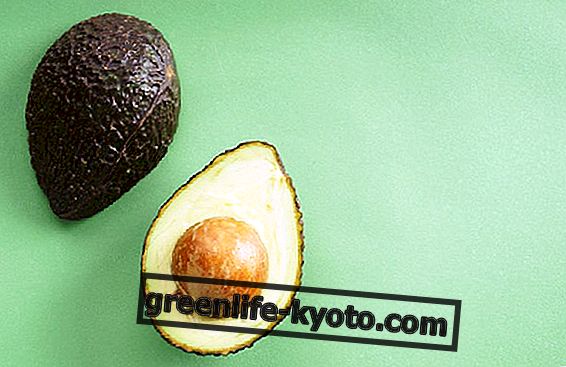Різновиди авокадо, як їх розпізнати