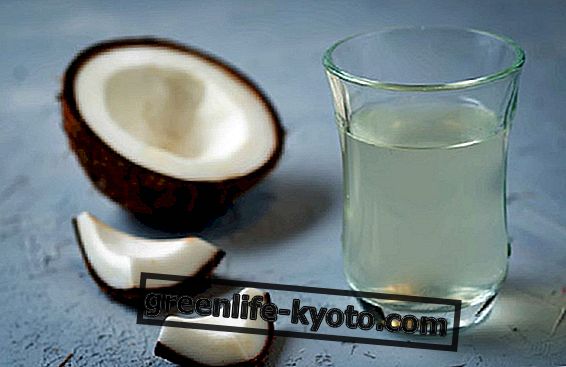Piens un kokosriekstu ūdens: kādas atšķirības