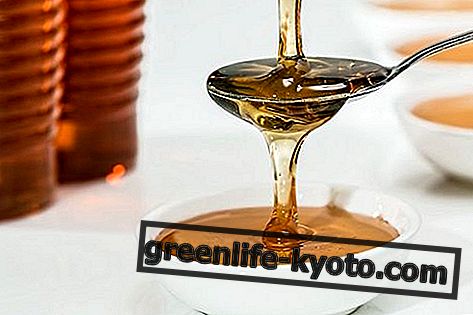 Wildflower honning: egenskaber, næringsværdier, kalorier