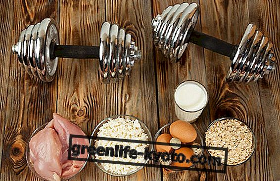 Os 10 melhores alimentos musculares