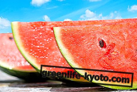 Watermeloen: eigenschappen, voedingswaarden, calorieën