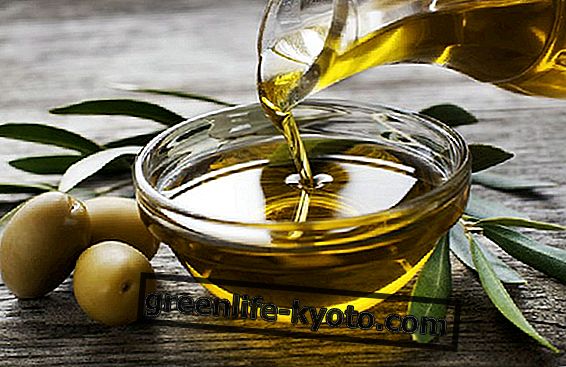 El aceite de oliva: las características de un producto único.