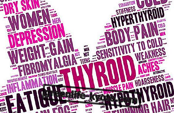 Kesihatan soya dan tiroid