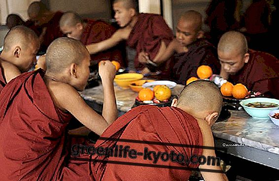 Trakteer uzelf op eten: Tibetaanse dieetleer