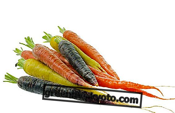 Polignano carrot, Slow Food presidium