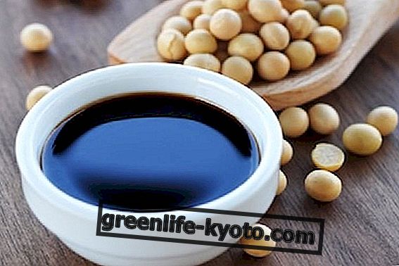 Soy, the vegetable most loved by vegetarians