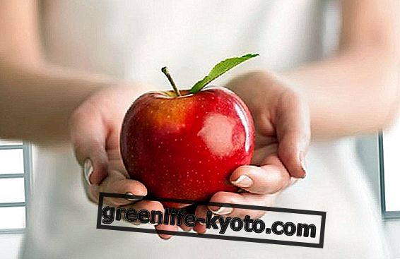 Jabolka in prehrana: kdaj jih jesti