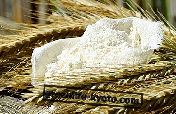 Gandum Durum dan gandum lembut: apakah perbezaannya?
