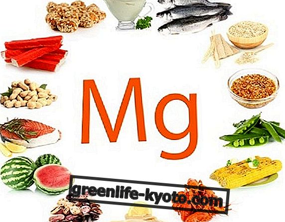 Magnesium, effekter av mangel og overskudd