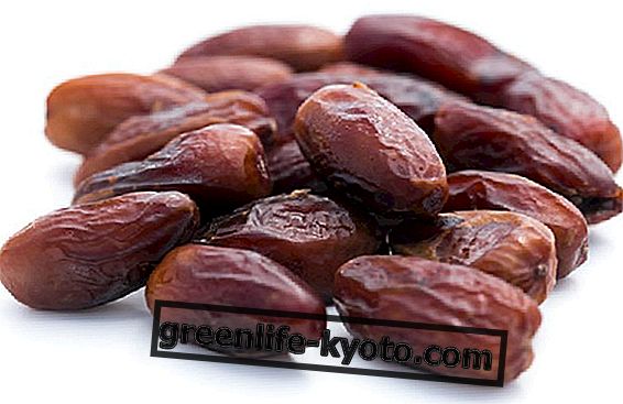Fresh dates or dried dates?  What differences?