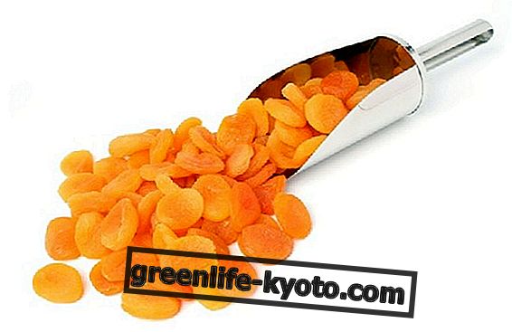 Apricot kering dalam diet