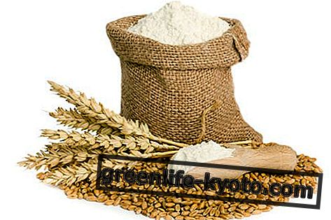 Pšenična moka, lastnosti in uporaba