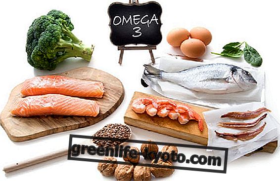 Las principales fuentes de omega 3.