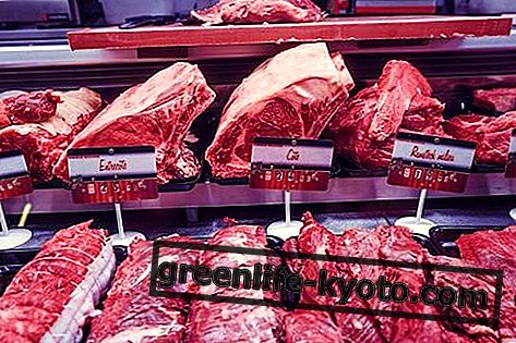 Месо: опис и нутритивне вредности