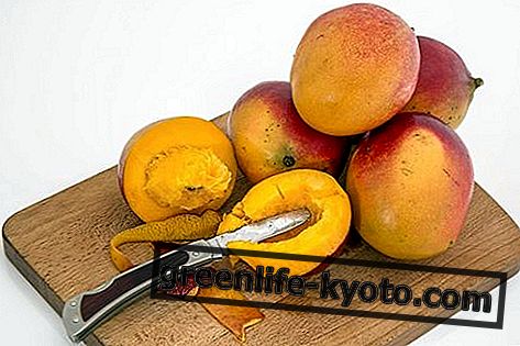 Mango: egenskaper, näringsvärden, kalorier