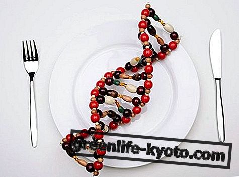 Nutrigenetika in nutrigenomika, za kaj so