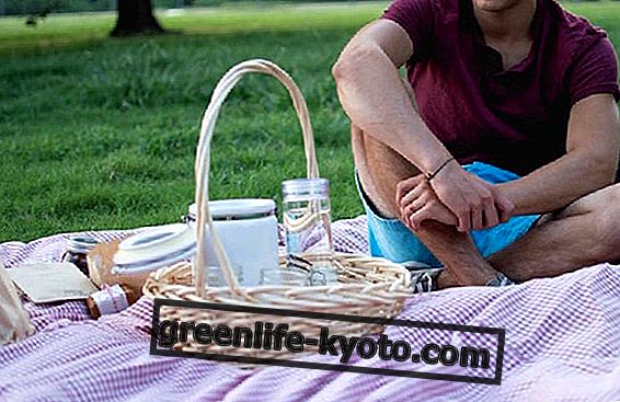Picknick: schnelle und einfache Rezepte