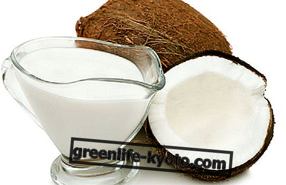 Како направити кокосову крему