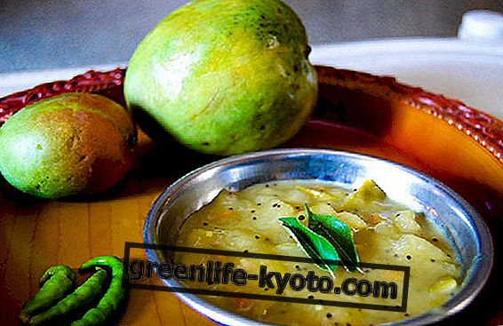 Masakan India: 3 resipi tipikal, ringkas dan sihat