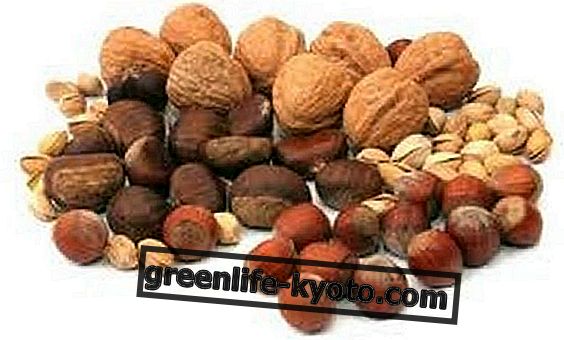 Mandel och valnötter: egenskaper och fördelar