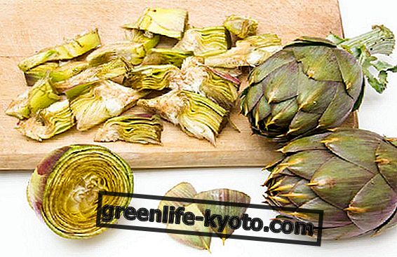 The top vegetable of February: the artichokes
