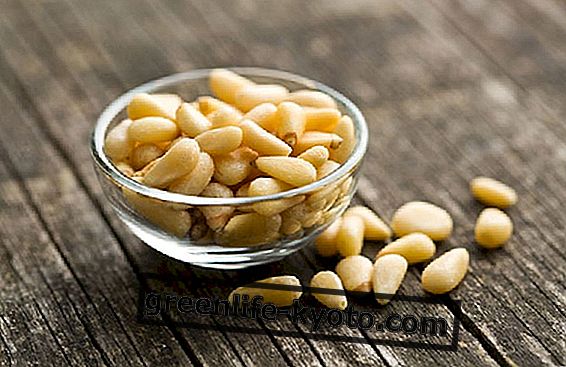 Pine nuts and health benefits