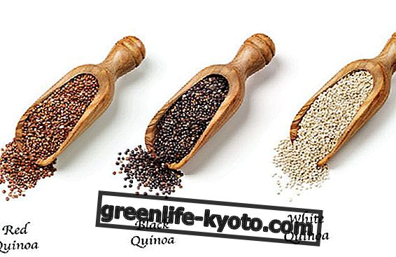 6 retsepti quinoa'ga