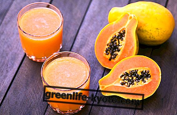 Fermente papaya, değerli antioksidan