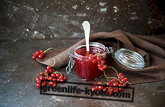 Grosella roja: receta de mermelada