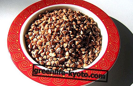 Buckwheat: 3 สูตรอาหารเบา ๆ