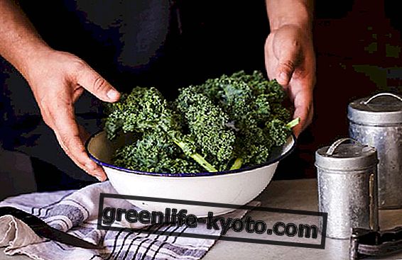 3 oppskrifter med kale