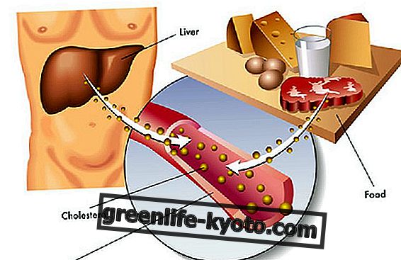 Good and bad cholesterol, let's be clear