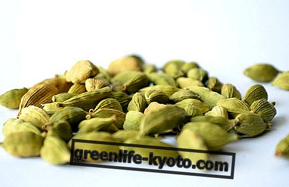 Cardamom seeds, here's how to use them
