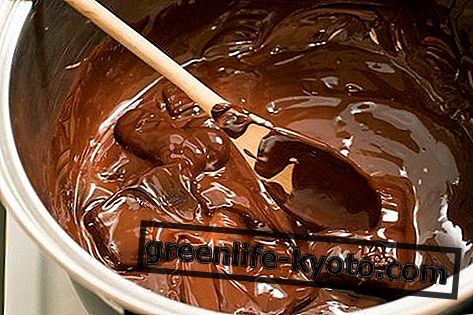 Чоколада: опис, својства, предности