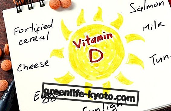 Vitamin D, hvor er det?