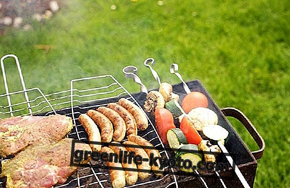 Grilling, grilling and grilling: pros and cons