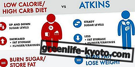 Dieta Atkins: cómo funciona, beneficios, contraindicaciones.