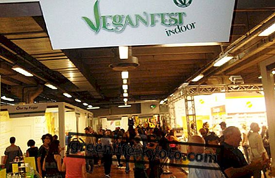 VeganFest 2012